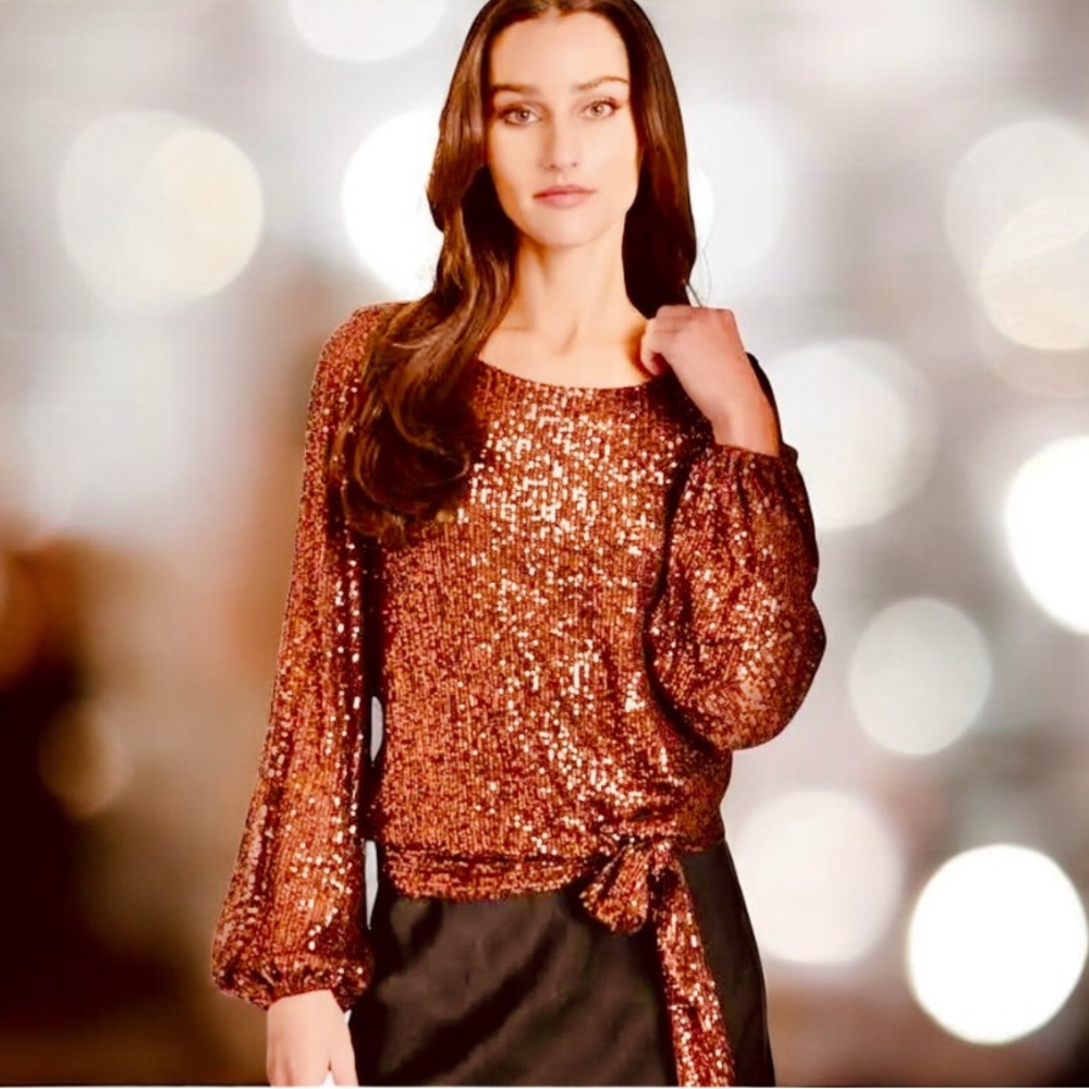 ✨TAHARI Sequin Long Sleeve /Lined Stretchy, Sparkly Party Blouse (s) 🍂🍁✨
